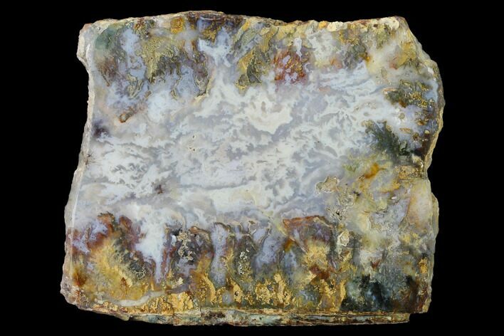 Polished Sage Plume Agate - Eastern Oregon #141209